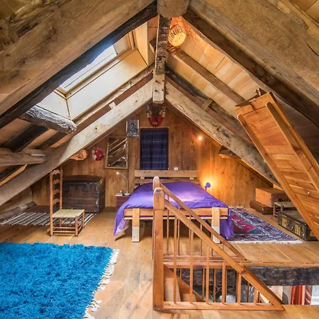 Le Cun Tatil Evi